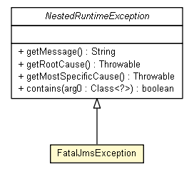 Package class diagram package FatalJmsException